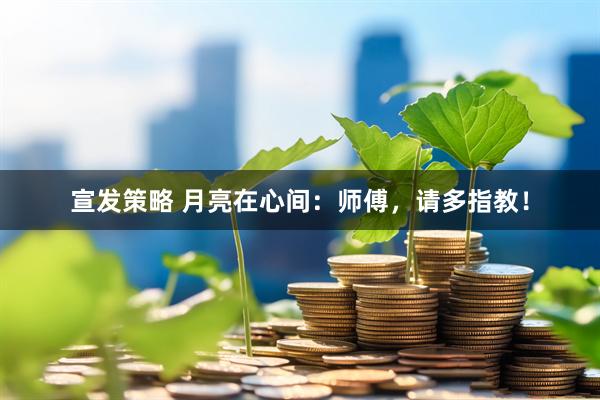 宣发策略 月亮在心间：师傅，请多指教！