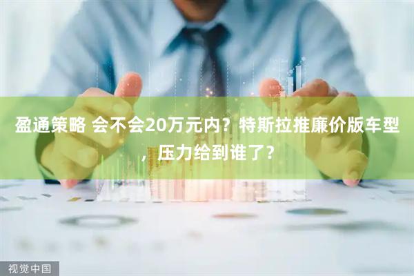 盈通策略 会不会20万元内？特斯拉推廉价版车型，压力给到谁了？